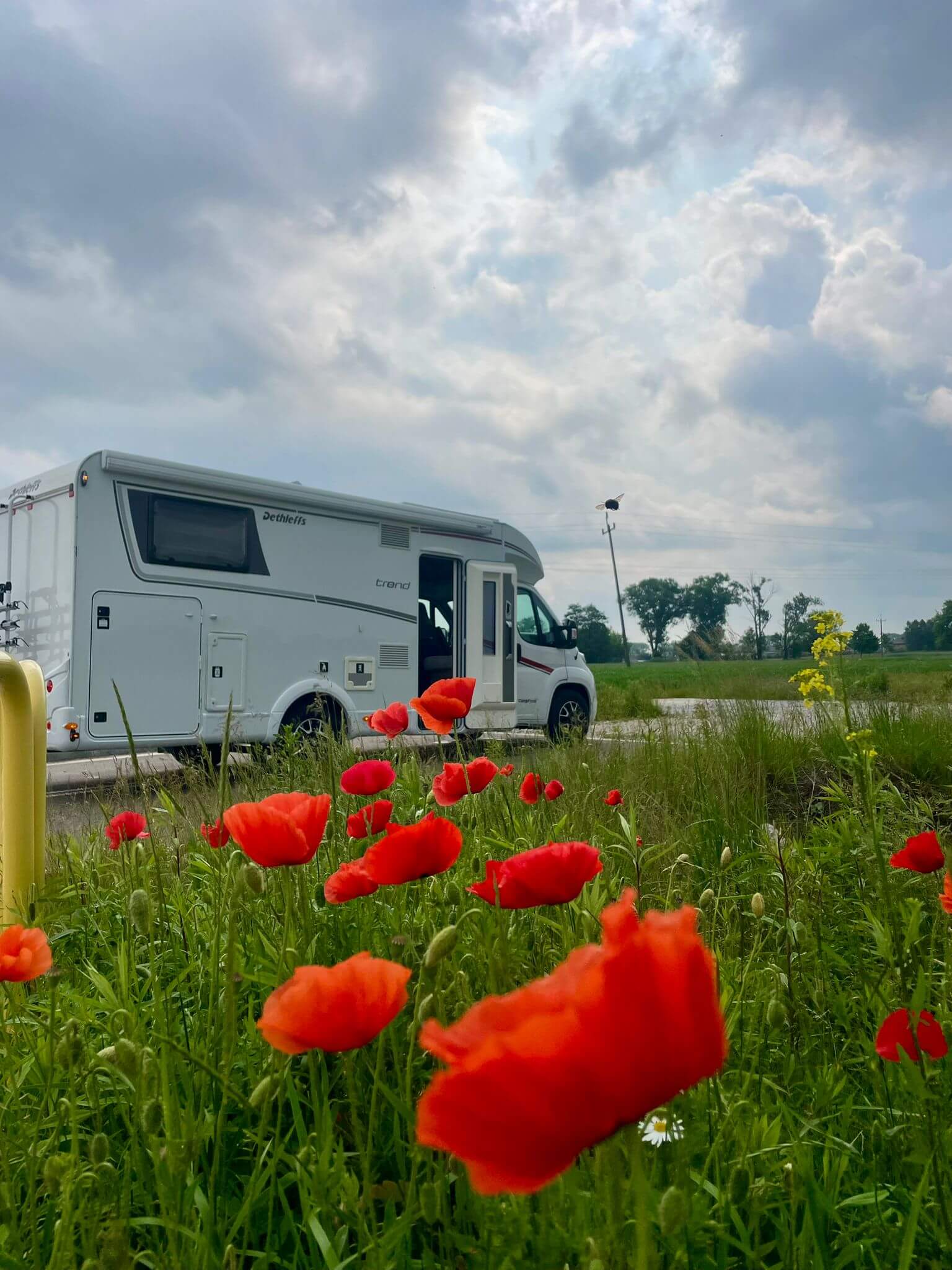 Wypożyczalnia Kamper Knaus Camp 650 - 4